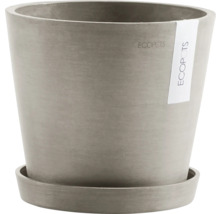 Grauer Pflanztopf mit Untersetzer