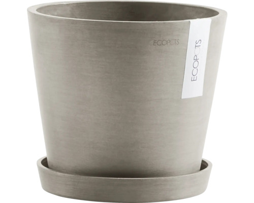 Grauer Pflanztopf mit Untersetzer
