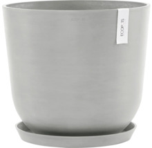 Grauer Pflanztopf mit Untersetzer
