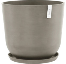 Runder Blumentopf mit Untersetzer