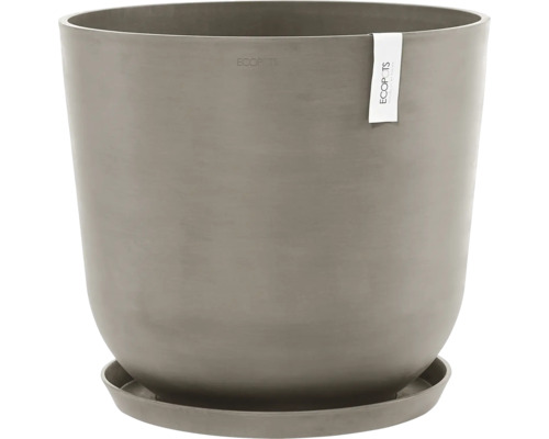 Runder Blumentopf mit Untersetzer