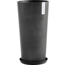 Hoher, dunkler Blumentopf mit Untersetzer