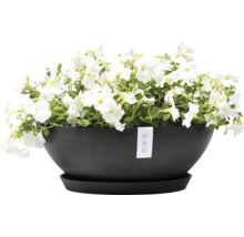 Schwarze Pflanzschale mit weißen Petunien