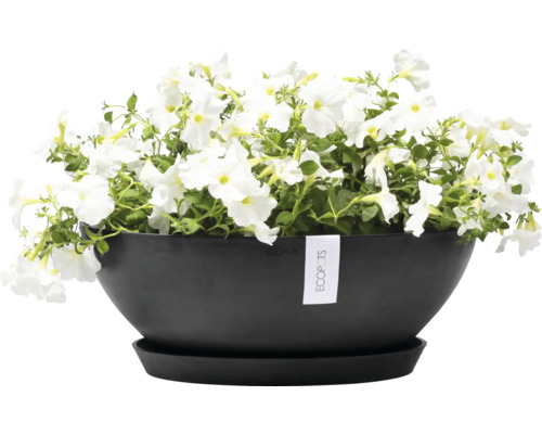 Schwarze Pflanzschale mit weißen Petunien