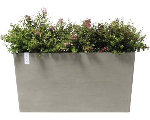 Pflanzkasten mit grünen Pflanzen und kleinen Blüten