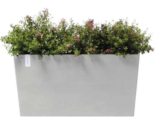 Rechteckiger Pflanzkasten mit Bepflanzung