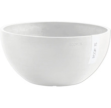 Schale aus Kunststoff