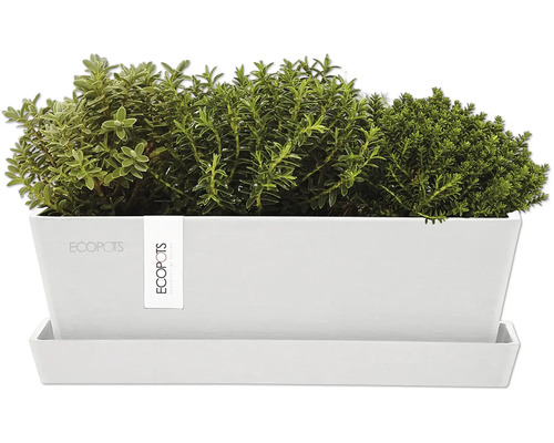 ECOPOTS Pflanzgefäß mit Bepflanzung