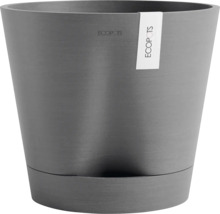 Blumentopf mit Untersetzer