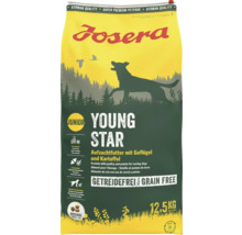 Josera Junior Young Star Hundefutter, 12,5 Kilogramm
