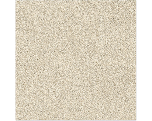 Teppichboden Shaggy Leila dunkelbeige FB37 400 cm breit (Meterware) Nahaufnahme eines beigen Teppichs