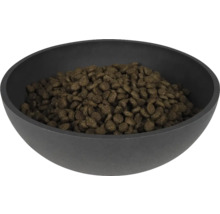 Hund Katze Futternapf District 70 Bamboo ø ca. 21 cm x 6,3 cm, ca. 1600 ml, Bambus anthrazit