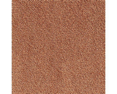 Teppichboden Shaggy Leila koralle FB89 400 cm breit (Meterware) Nahaufnahme von Teppichboden