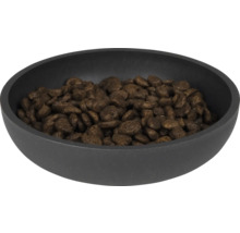 Napf mit Katzenfutter