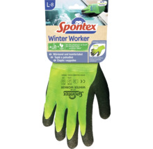 Spontex Winter Worker Handschuhe
