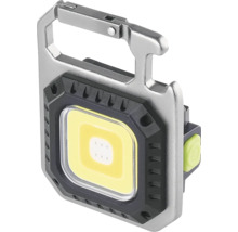 LED-Arbeitsleuchte mit Karabiner