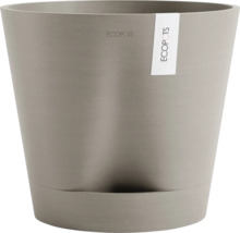 Grauer Pflanztopf mit Untersetzer
