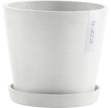 Weißer Pflanztopf mit Untersetzer