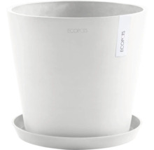 Weißer Pflanztopf mit Untersetzer
