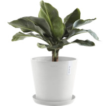 Künstliche Bananenpflanze in weißem Topf