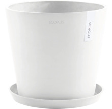 Blumentopf mit Untersetzer