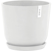 Weißer Pflanztopf mit Untersetzer