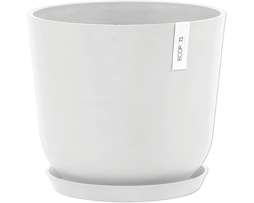 Weißer Pflanztopf mit Untersetzer