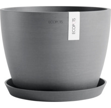 Grauer Pflanztopf mit Untersetzer