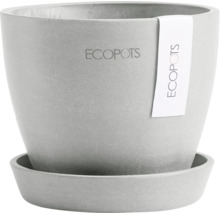 Ecopots Blumentopf mit Untersetzer