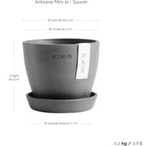 ECOPOTS Antwerp Mini 11 Pflanztopf mit Untersetzer und Maßangaben