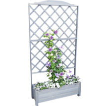 Blumenkasten mit Rankgitter und Pflanzen