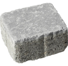 Pflasterstein aus Beton