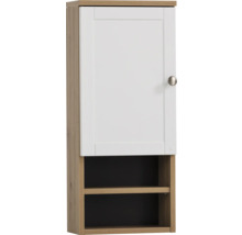 Hängender Badezimmerschrank mit einer Tür und zwei Regalen