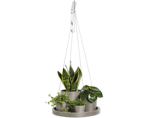 Hängeampel mit Zimmerpflanzen in Töpfen