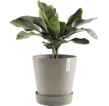 Banane im Topf auf Untersetzer