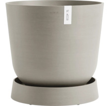 Blumentopf mit Untersetzer