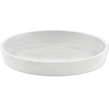 Pflanzuntersetzer aus Kunststoff