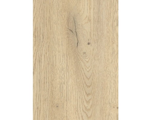 Handmuster zu Boden 12104939 Oak Torro Holzstruktur für Bodenbeläge