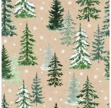 Muster mit Tannenbäumen und Schneeflocken