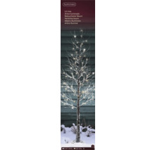 Beleuchteter Baum mit Lichtern für den Innen- und Außenbereich