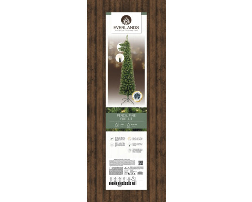 Everlands Bleistiftkiefer mit Beleuchtung
