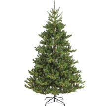 Geschmückter Weihnachtsbaum mit Ständer