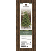Verpackung einer Everlands Alba-Tanne, mit Beleuchtung und kompakter Form.
