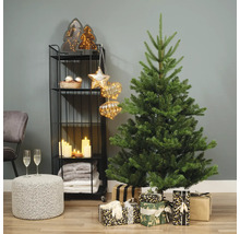 Weihnachtliche Wohnraumdekoration mit Tannenbaum, Geschenken und Regal