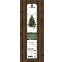 Everlands Alba Tanne, künstlicher Weihnachtsbaum in Verpackung