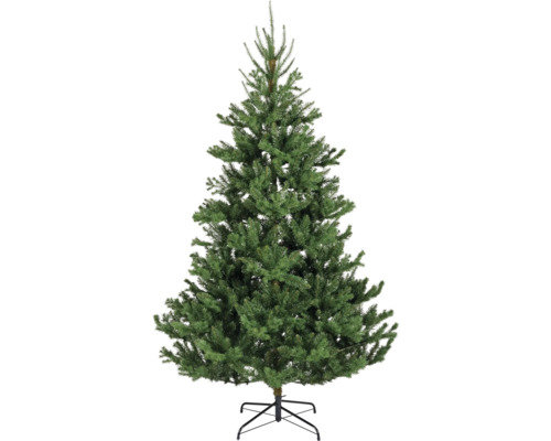 Christbaum Everlands Kunststoff Ø 116 cm Höhe: 180 cm grün