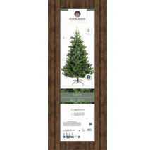 Everlands Alba Tanne mit Ständer.
