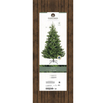 Verpackung eines Everlands Weihnachtsbaums aus Kunststoff mit Ständer