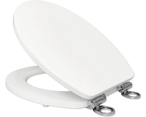 Toilettendeckel aus Kunststoff mit Chrombeschlägen