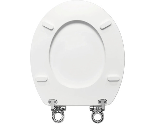 Toilettendeckel mit Edelstahlscharnieren